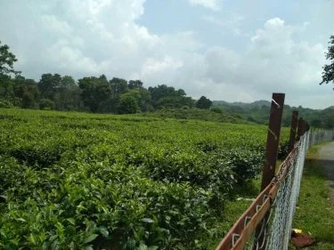 Say something about this fantastic greenery. #landscapstyles #exklusiveshot #visualsofearth #beautifuldestinations #ilovetravel #amazing #hermanosviajeros #iloveamsterdam&hellip;