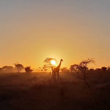 El amanecer más bonito que nunca he visto. Imposible plasmar en fotos lo que&hellip;