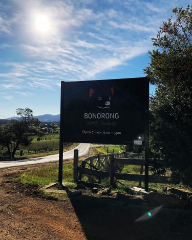 Tazmanya denildiğinde bizim nesil, bir ülkeden ziyade bir çizgi filmi hatırlar. Taz; ilk kez&hellip;