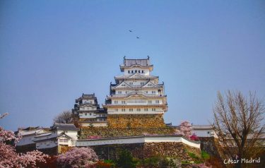 Himeji-jõ #japan #himeji #himejicastle #castle #photography #city #canon #canonphotography #travelphotography #travel #travelblogger #travelling #amateurphotography…