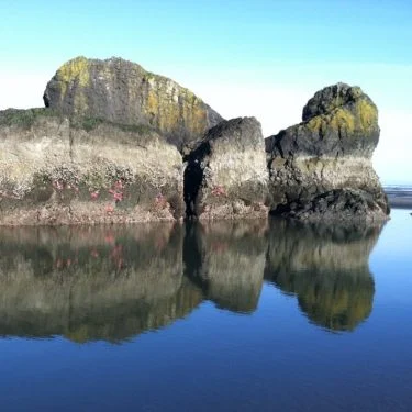 What a gem #punny #CopalisRock #mothernature #bnesimppl