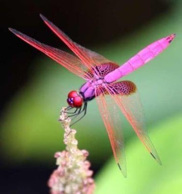 Good morning everyone hopes you all have a fantastic day keep safe blessings to&hellip;