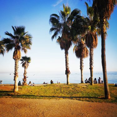 Malaga @sharepoint_travel . . #spain #malaga #beach #palms #worldtravelinspo #iamtb #travel #traveller #follow #sharepoint&hellip;