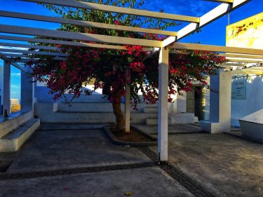 Live for M O M E N T S you can’t put into words&hellip;