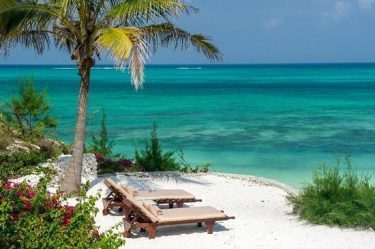 The beauty of nature Zanzibar #landscapstyles #exklusiveshot #visualsofearth #beautifuldestinations #ilovetravel #amazing  #hermanosviajeros #iloveamsterdam #igersnetherlands…