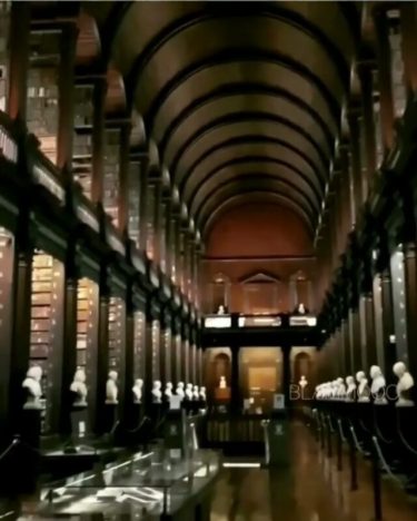 Ты прочитаешь много хороших книг. Плохих, конечно, тоже, но ты научишься видеть разницу. Ричард&hellip;