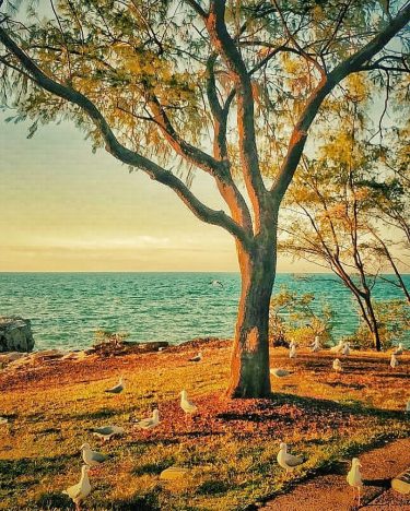 Darwin ️ . . . . . . . . . . #darwin #darwinaustralia&hellip;