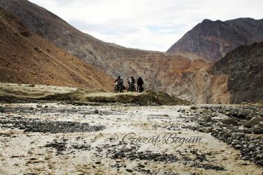 I need not speak anything about this feed. It’s quite self Crossing this super&hellip;