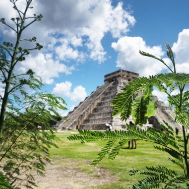 Curiosidade: Chichén Itzá é um complexo mundialmente conhecido de ruínas maias na Península de…