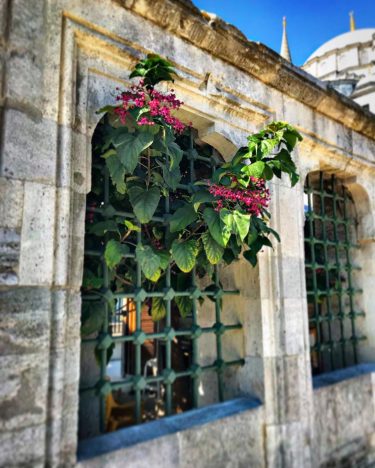 #tombofmehmedtheconqueror #travelling #vacation #visiting #traveler #kadrajimizdan #perfectshot #pictureoftheday #trip #holiday #photooftheday #lifeofadventure #doyoutravel #tourism&hellip;