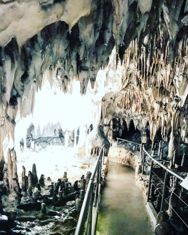 I easily simply fall in with this 2 million years old Postojna Cave. When&hellip;