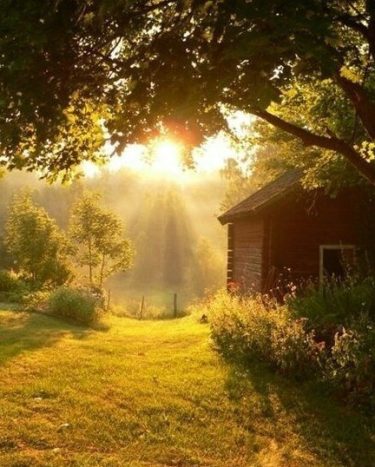 Good morning all of my friends Instagram world #landscapstyles #exklusiveshot #visualsofearth #beautifuldestinations #ilovetravel #amazing&hellip;