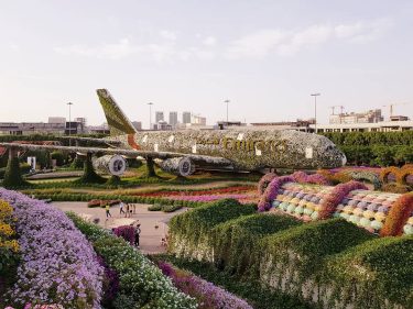 Flower Heaven ️ #dubaimiraclegarden #uae #dubai #city #mydubai #largest #flower #garden #intheworld #beautiful #nature…