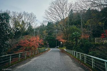 During the late autumn, places here are fascinating. Any choice of angle is a…