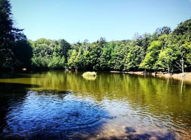 Beautiful landscape in Umbra forest in Gargano ????. . . . #forestaumbra #gargano #foggia…