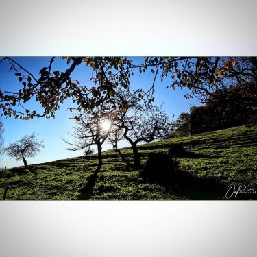 Der Herbst kommt. Bei uns hinten dem Haus. | Podzim přichází. U nás za&hellip;