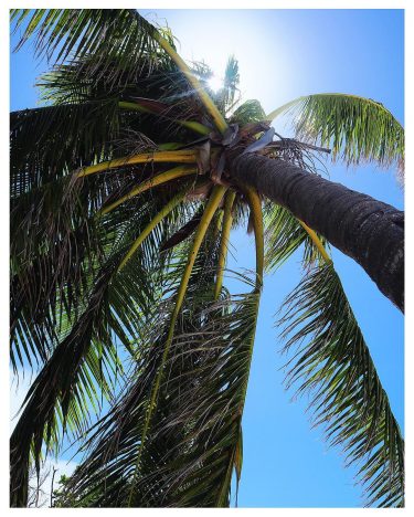 Ну и пусть за окном весь день идёт дождь, в инстаграме будет лето #cayosantamaria&hellip;