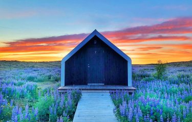 This cabin surrounded by lupines is the perfect place for your last night in&hellip;