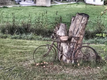 Beautiful day …and some old stuff. #beautiful #history #lefttorot #treestump #wald #hidden #instagood #instatravel…