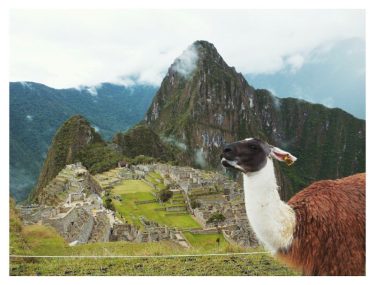 Machu Picchu Cusco ∣ Perú . . . . . . #cusco #cuzco #peru&hellip;