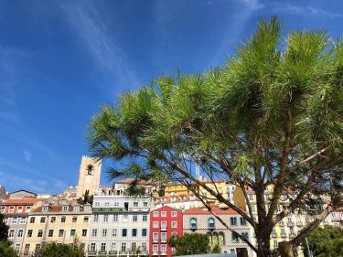 Loved strolling around Lisbon admiring the colorful tiled houses