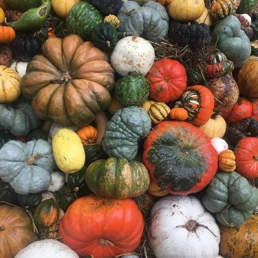 Autumn in America is the BEST!