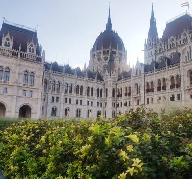 Budapest Parliment ft Flowers . . . . . . . . . .…