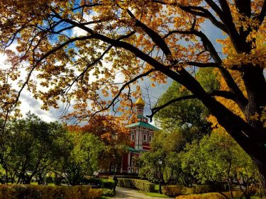I love the colors of autumn! This was 11 months ago in Moscow, Russia,…