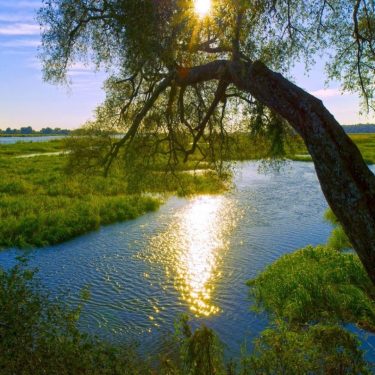 African Shining Morning at Okavango River and Caprivi Strip in Namibia #landscapstyles #exklusiveshot #visualsofearth&hellip;