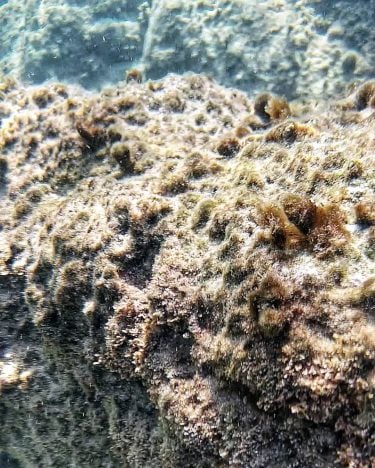 . . #backpack #lovetotravel #traveler #travelislife #beautifulworld #israelblogger #underwater #worldwecapture #travelstyle #travelblogger #travelgirldiary&hellip;