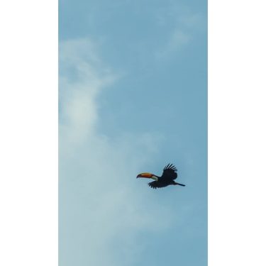 Above the planet on a wing and a prayer My grubby halo, a vapour…