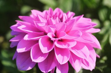 Beauty in nature . . . . . . . . . . .…