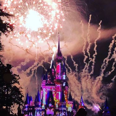 #magickingdom #travelrepost #iamtb #bnesimppl