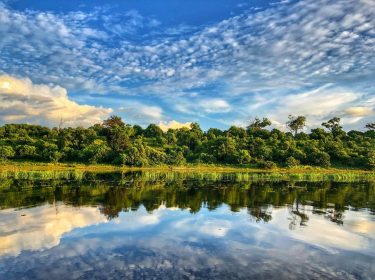 where we’re going, we don’t need a mirror. #reflections . . . . #botswana…