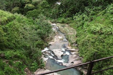 Zugfahrt nur für Fotos ~ #newpost #asia #srilanka #ella #rosiontour #reisenfuerweltentdecker #starttheadventure #backpackers #weltreise…