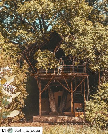 We love this capture of our Damba tree house! . #Repost @earth_to_aqua with @get_repost…