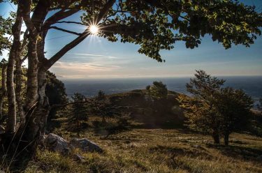 vista da Piancavallo #landscape_hunter #landscape_lovers #landscapecaptures  #landscapestyles_gf #sunset #travelgram #instatravel #tourist #travelphoto #amazing #arountheworld…