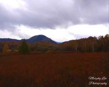 Senjōgahara (戦場ヶ原). A wonderful hiking route in the city of Nikko. It is around&hellip;