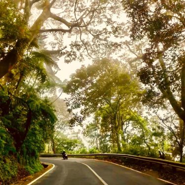 Riding into a tropical paradise