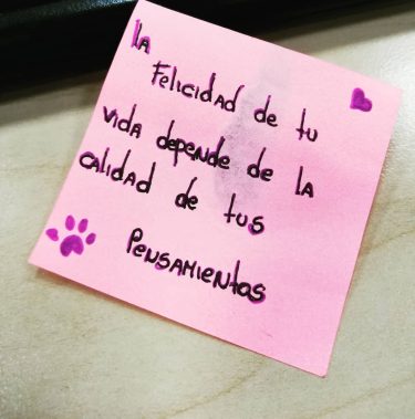 Sentarme en otro puesto en mi trabajo y leer este mensaje, universo ven a…