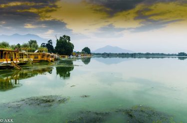 The happiness of staying in a Houseboat and waking up to this in the…
