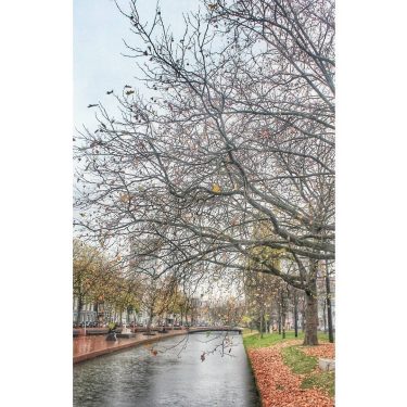 Rainy Rotterdam ️ I cannot forget my first time visiting Rotterdam because the weather&hellip;