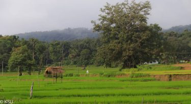 A hiding place in the greens The hiding nest is typically built as an&hellip;