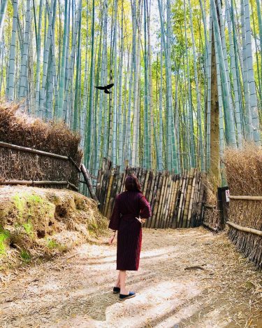 . . . . . . #kyototravel #japan #sheisnotlost #darlingescapes #beautifuldestinations #femmetravel #citizenfemme&hellip;