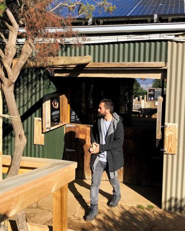 Bonorong için toplu taşıma ile ulaşım pek mümkün değil. Turist merkezlerindeki broşürlerde bulunan tur&hellip;