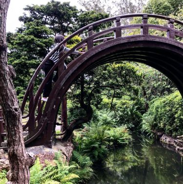 Climb the bridge, if you can #japanesegarden #sanfrancisco #california #usa #usaontheroad #americandays #girlstour #adventure…