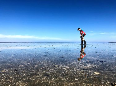 Chrystal clear High tide on the shores of our whale watching lagoon. Baja, Mexico…