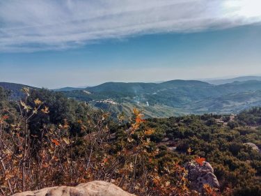 Autumn is a second spring when every leaf is a flower. . . .&hellip;