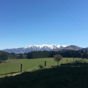 A typical South Island drive