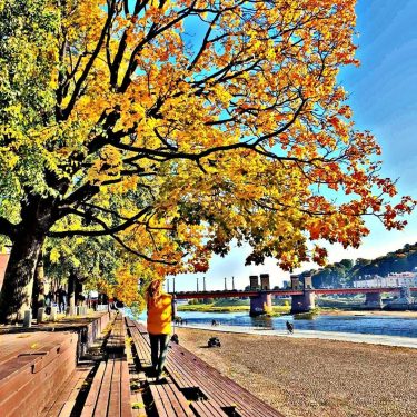 #autumn colours in #kaunas – – – – – #travelanddestinations #beautifulmatters #travelpics #theworldshot #travelstoke…